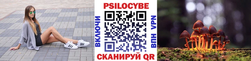 Купить закладки  Углич  Галлюциногенные грибы Psilocybe 
